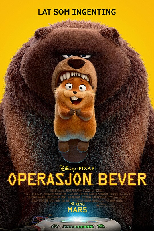 Operasjon bever