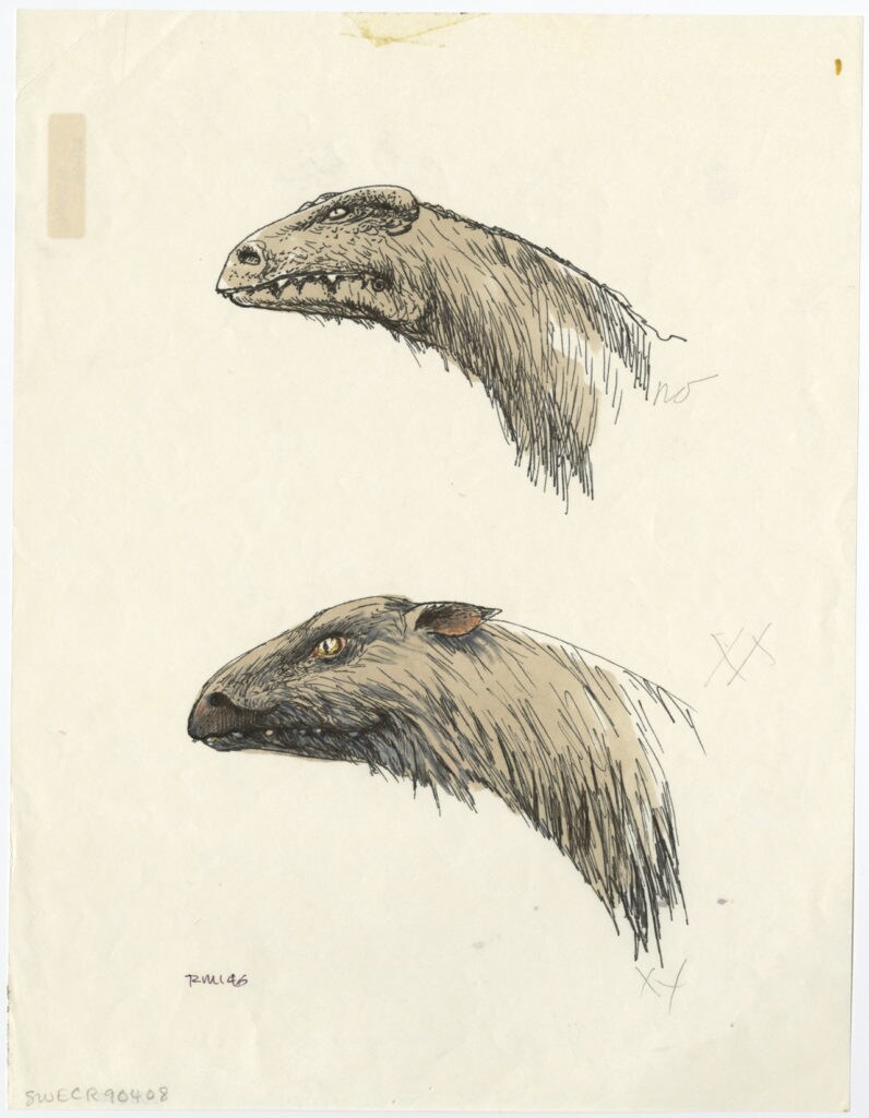 Concept art of a tauntaun head for Star Wars: The Empire Strikes Back.