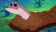 Forbidden Pumbaa / Washington Applesauce