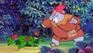 Days of the Beevilweevils
