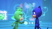 Looking After Gekko / Catboy and the Teeny Weeny Ninjalino