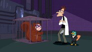 Escape from Phineas Tower / The Remains of the Platypus