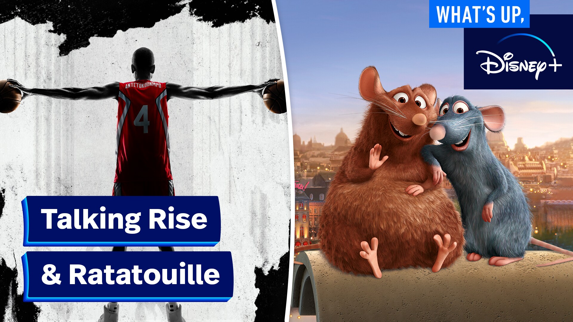 Talking Rise & Ratatouille | What's Up, Disney+