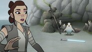 Porg Problems