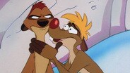 Bumble in the Jungle Plus: Beethoven's Whiff! / Mind Over Matterhorn