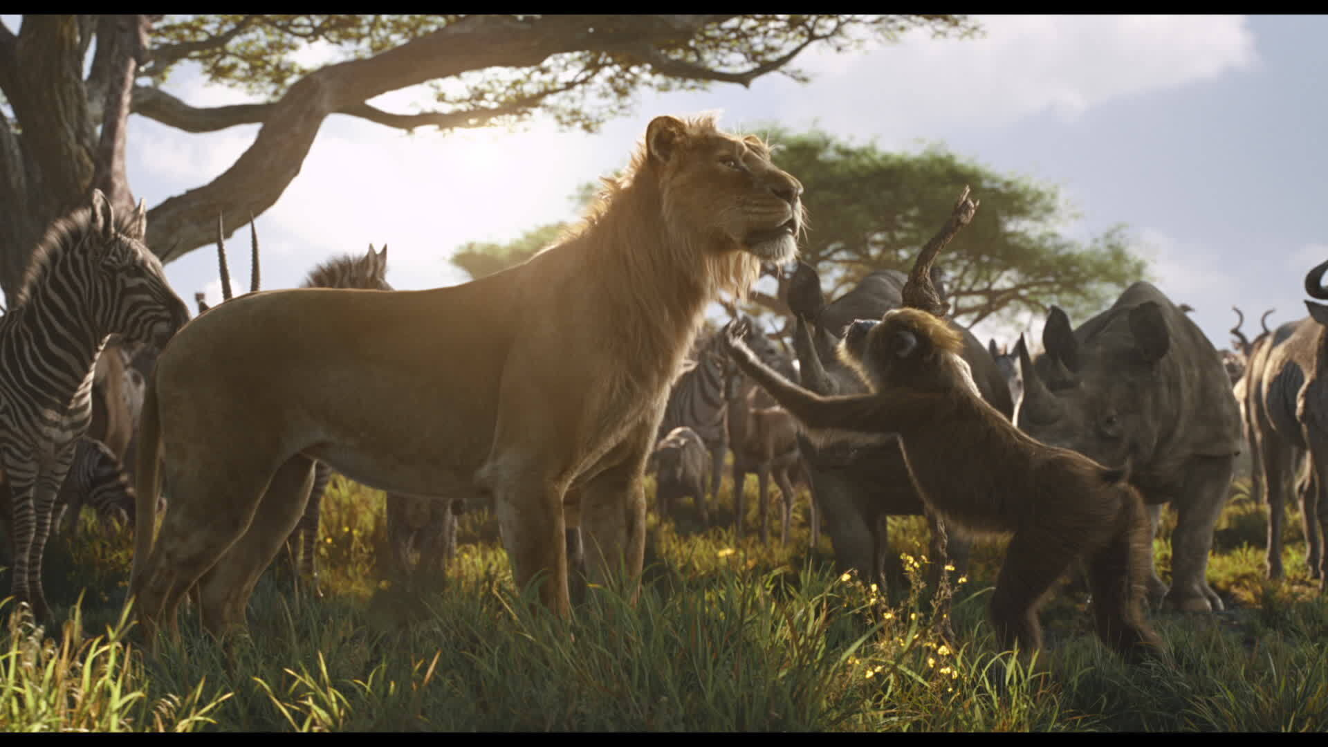 Mufasa: The Lion King |  Get Tickets Now | In Theaters December 20