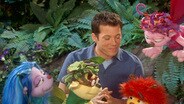 The Sprites Save Grotto's Grove / Seymour's New Home