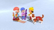 Snow Problem