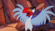 Think I Canada, I / Zazu's Off Day Off