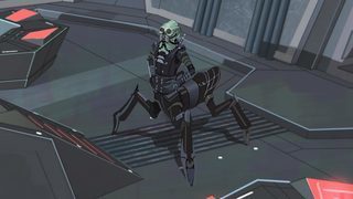 Sugi (Species)