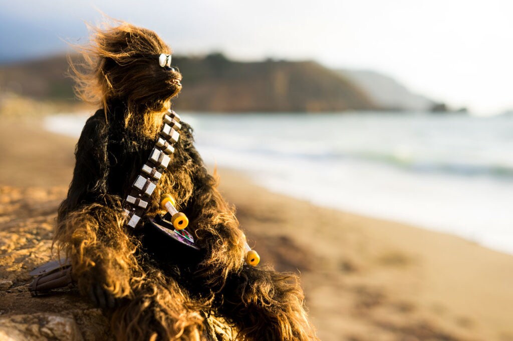 A toy Chewbacca posed on a beach wearing sunglasses and holding a skateboard.