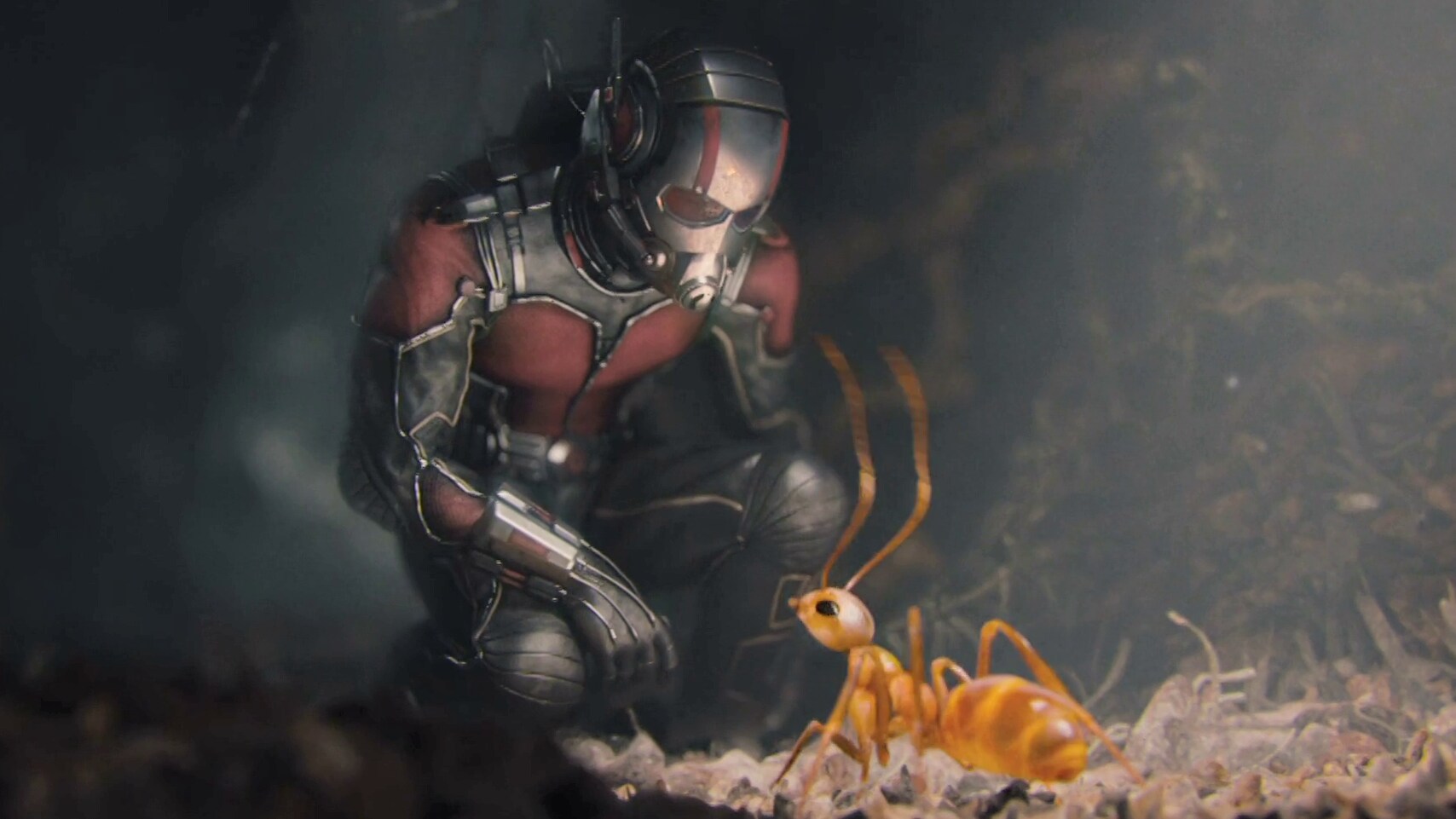 Hey! You're Cute | Ant-Man Film Clip