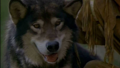 White Fang 2: Myth of the White Wolf Trailer | Disney Video