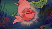 The Evil Manta