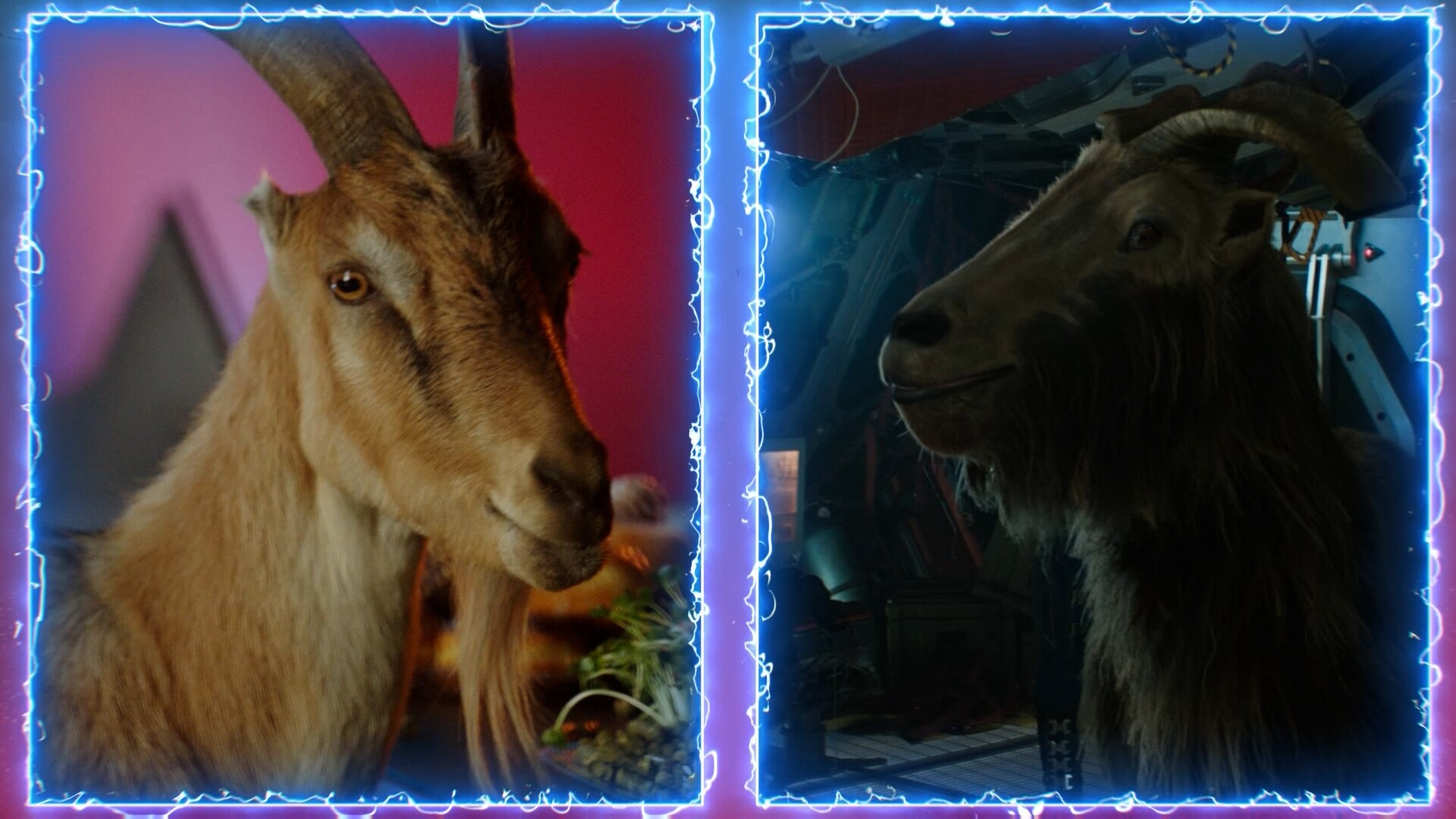 Thor: Amor y Trueno de Marvel Studios | Devin, la cabra