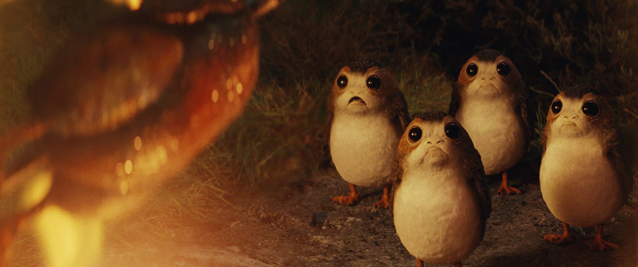 Four porgs stare at another porg roasting over a fire in Star Wars: The Last Jedi.