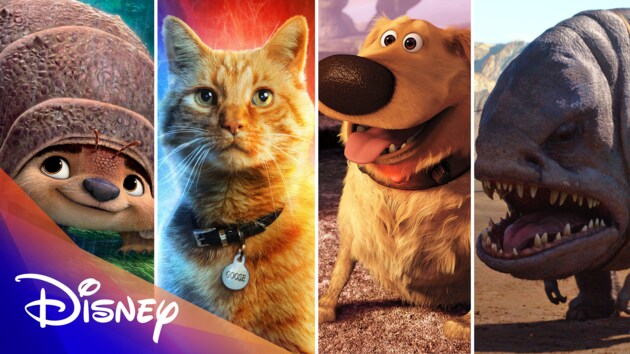 Disney’s Amazing Pets | Disney | Disney Video