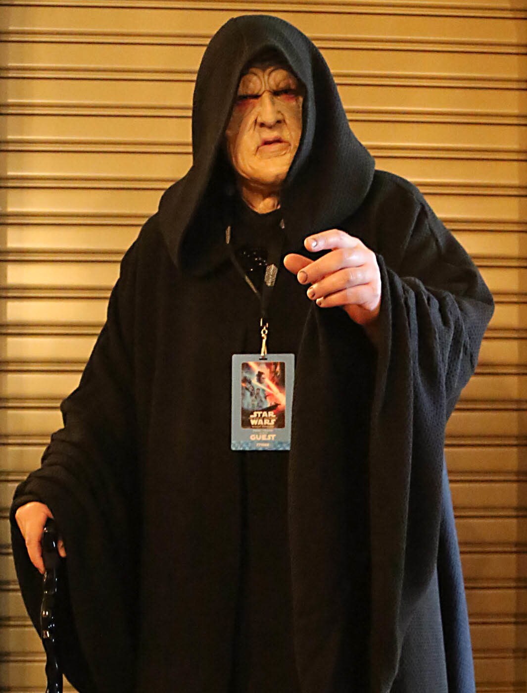 A Emperor Plaptine cosplayer for the premiere of The Rise of Skywalker.