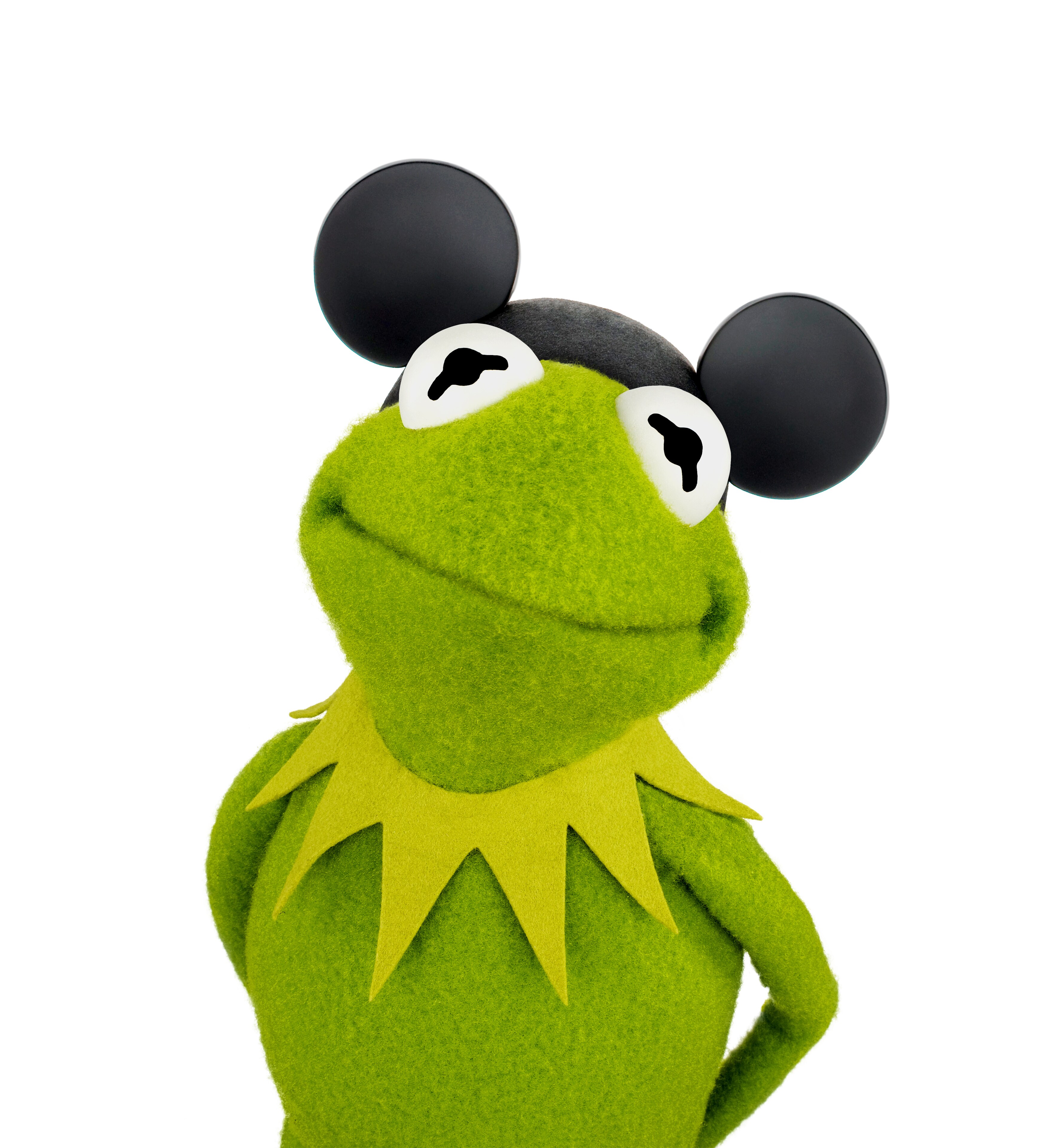 Kermit the Frog from Muppets Most Wanted, in theatres March 21, 2014