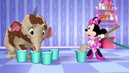 Primped Up Pachyderm