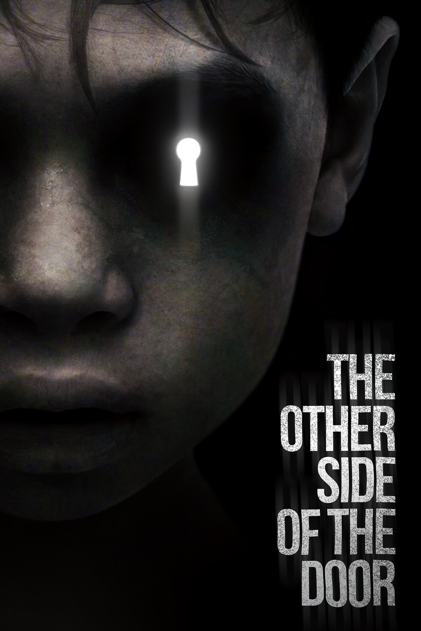 The Other Side of the Door movie poster
