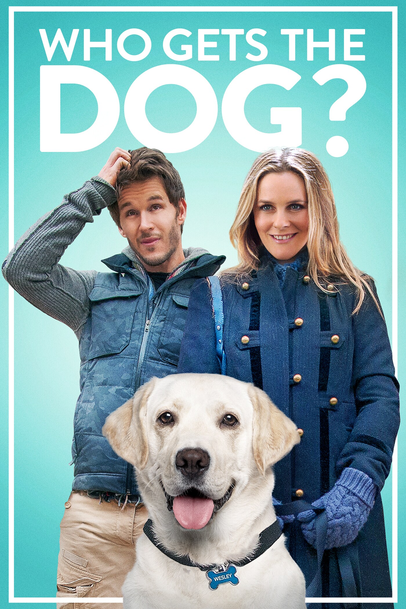 Who Gets The Dog? movie poster