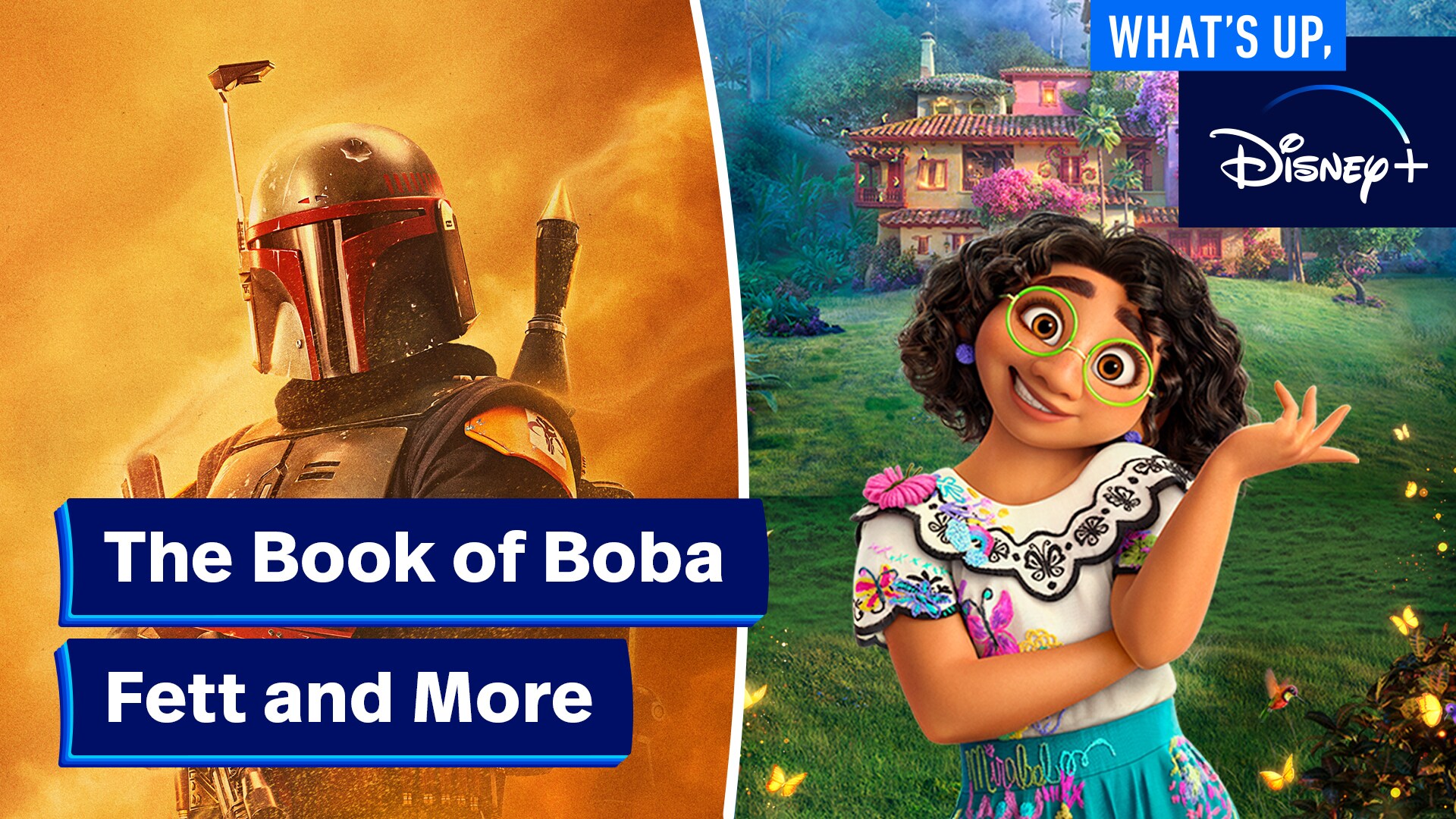 Disney+ Date Night, The Book of Boba Fett, The World According to Jeff Goldblum | What's Up, Disney+