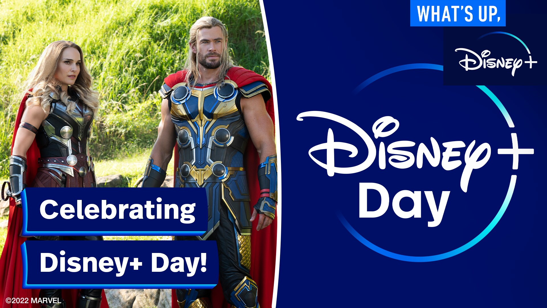 Celebrating Disney+ Day | What's Up, Disney+