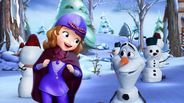 The Secret Library: Olaf and the Tale of Miss Nettle