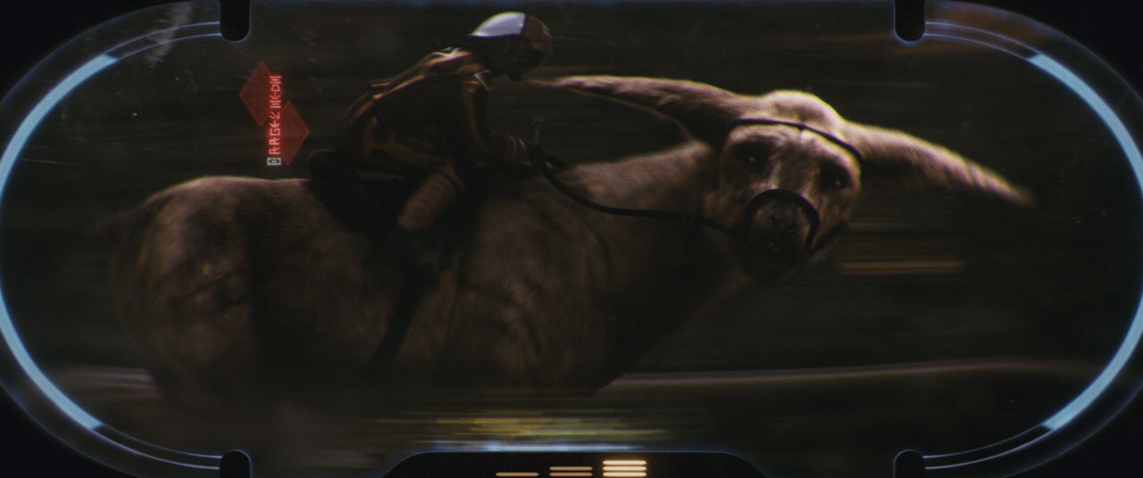 A fathier being ridden in The Last Jedi.