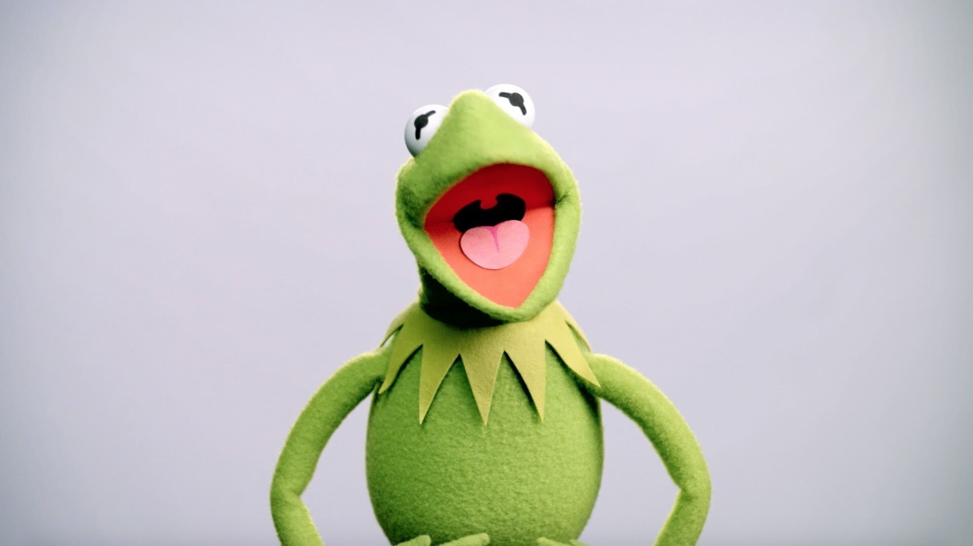 Kermit the Frog Buzzes In | Muppet Thought of the Week by The Muppets