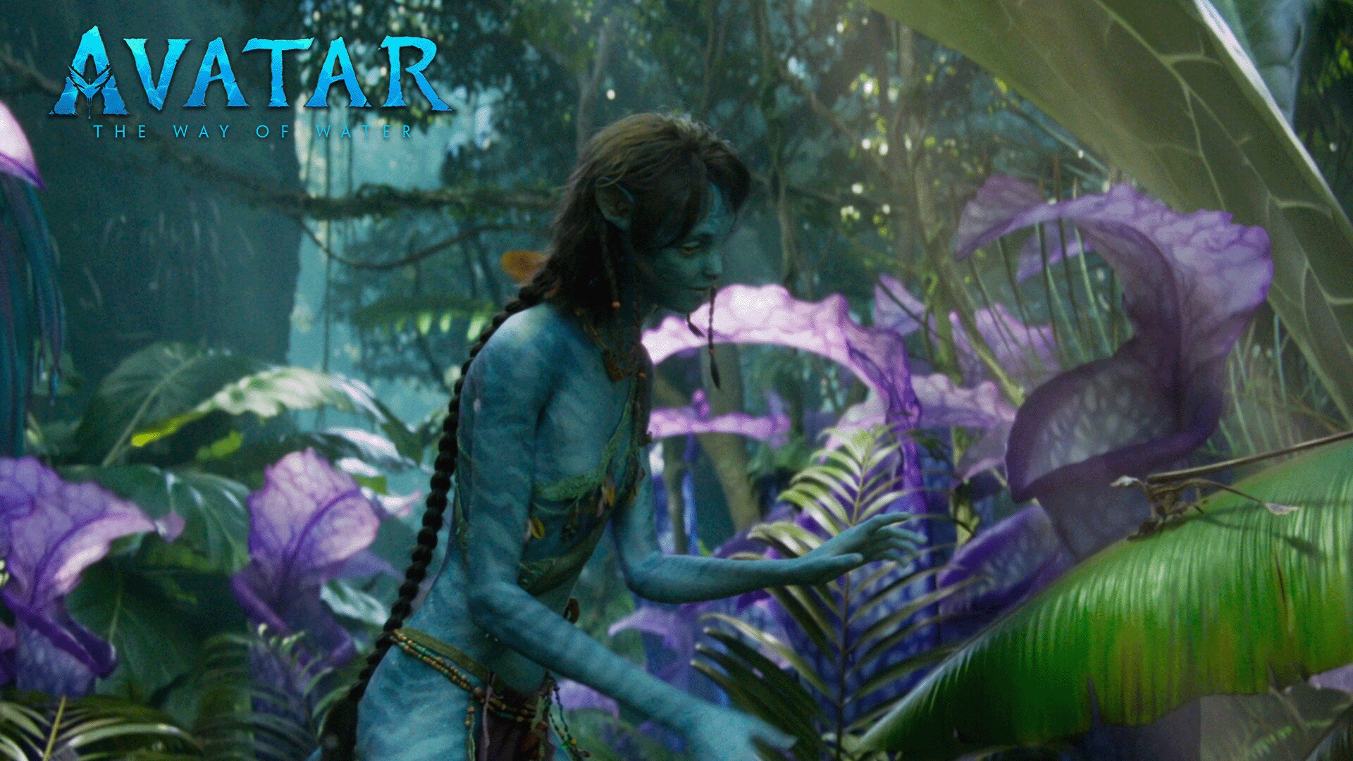 Avatar: The Way of Water | Planet Pandora