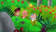 Hooked! / The Never Land Pirate Ball