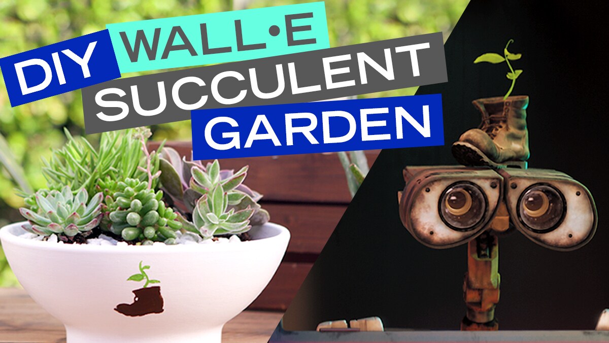 DIY WALL•E Succulent Garden | DIY by Disney Style