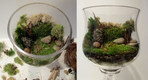 Dagobah Terrarium-scaping 2