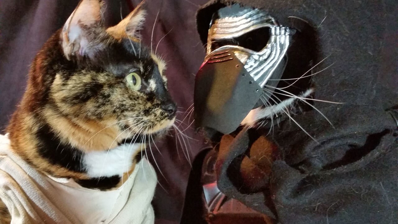 Fully Operational Fandom: These Pets in Star Wars Costumes Are Ready for Halloween