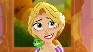 Fitzherbert P.I.