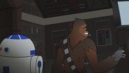 Porgs!