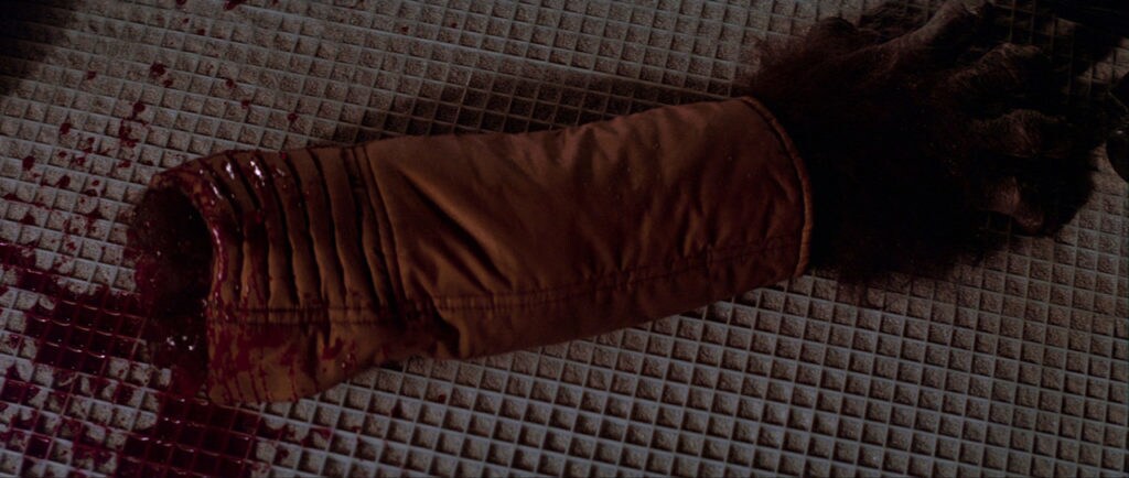 The severed arm of Ponda Baba, in A New Hope's cantina sequence.