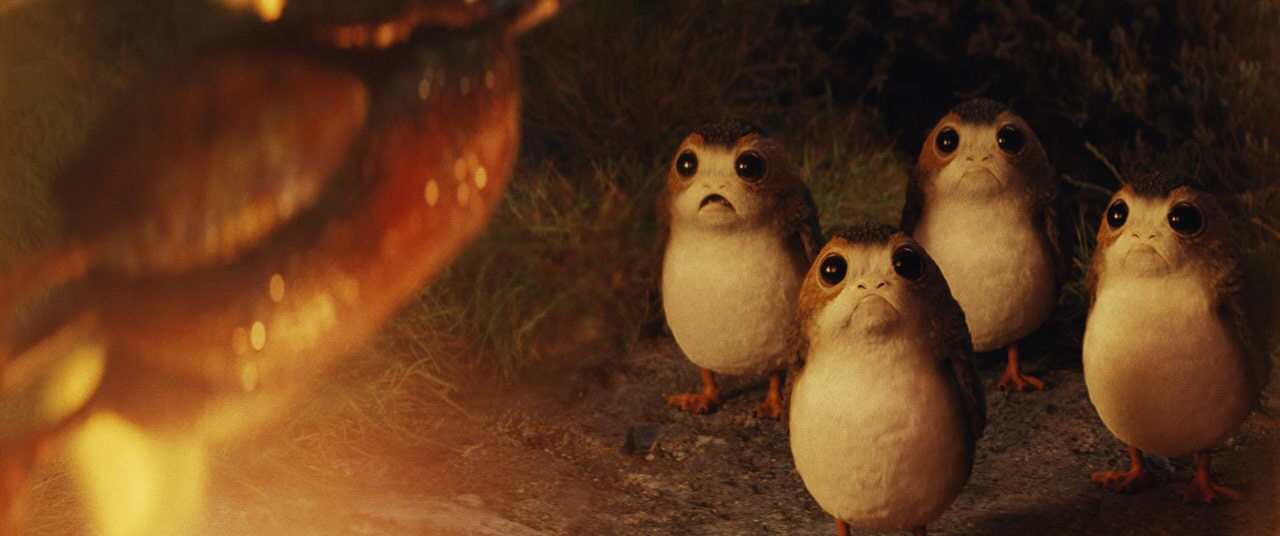 Porgs watch in horror as one of their own is roasted over a fire.
