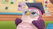 Hooty's Duty / A Cure for a King