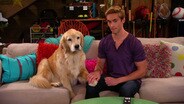 Doggie Daddy