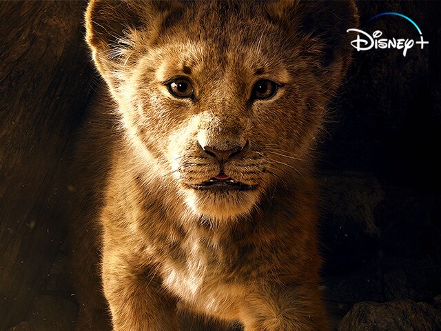 Il Re Leone - Ora disponibili su Disney+
