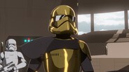 Secrets and Holograms