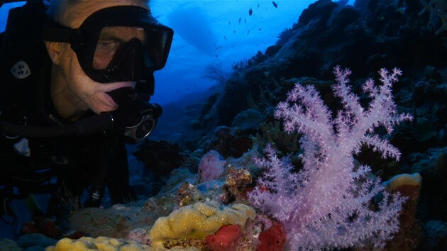 Nat Geo Celebrates World Ocean Day