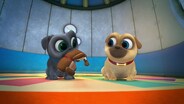 Design-A-Dog/Ice, Ice Puggy
