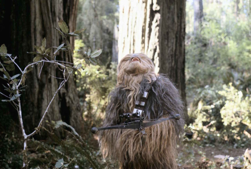 Chewbacca-on-Endor