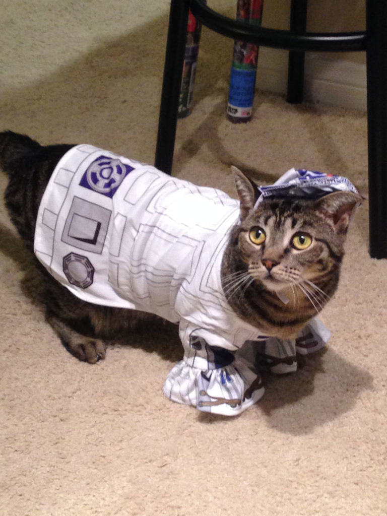 star wars cat costumes