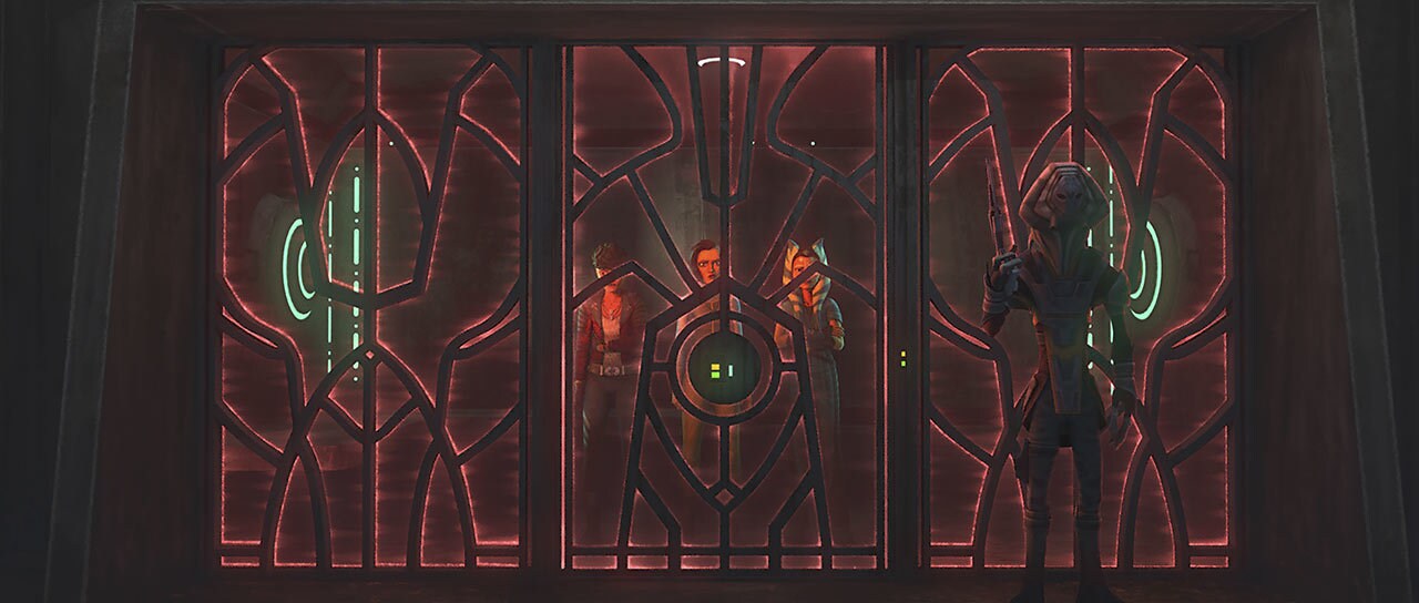 Trace, Rafa, and Ahsoka in a cell