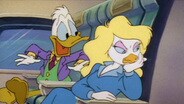Duck Who Knew Too Much, The